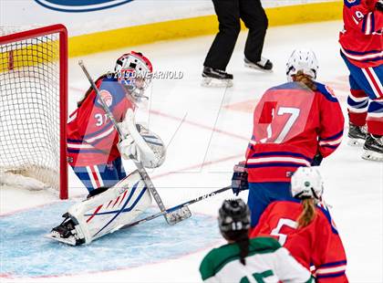 Thumbnail 2 in Methuen-Tewksbury vs Austin Prep (MIAA Division 1 State Final) photogallery.