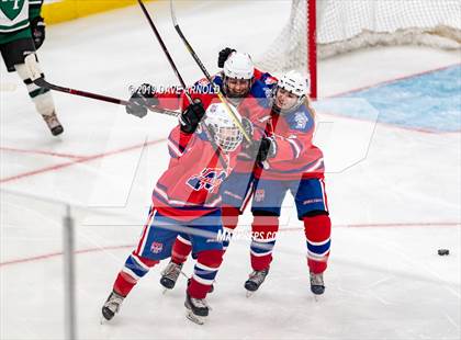 Thumbnail 1 in Methuen-Tewksbury vs Austin Prep (MIAA Division 1 State Final) photogallery.