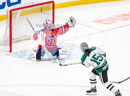 Thumbnail 3 in Methuen-Tewksbury vs Austin Prep (MIAA Division 1 State Final) photogallery.