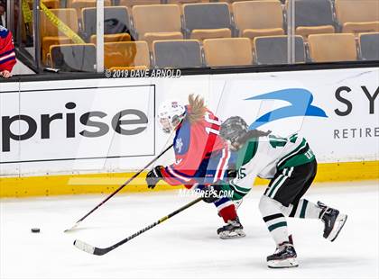 Thumbnail 3 in Methuen-Tewksbury vs Austin Prep (MIAA Division 1 State Final) photogallery.