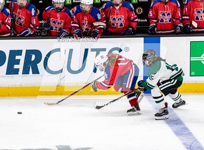 Thumbnail 3 in Methuen-Tewksbury vs Austin Prep (MIAA Division 1 State Final) photogallery.