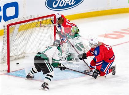 Thumbnail 3 in Methuen-Tewksbury vs Austin Prep (MIAA Division 1 State Final) photogallery.