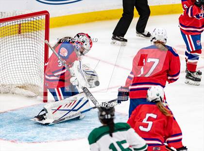 Thumbnail 3 in Methuen-Tewksbury vs Austin Prep (MIAA Division 1 State Final) photogallery.