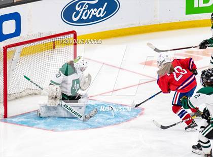 Thumbnail 3 in Methuen-Tewksbury vs Austin Prep (MIAA Division 1 State Final) photogallery.