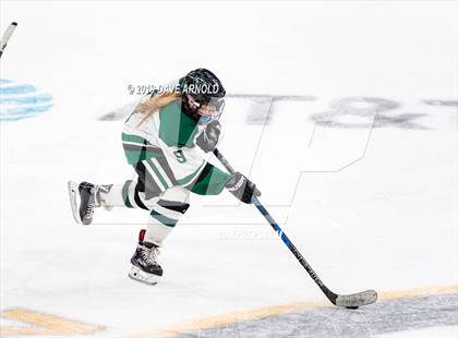 Thumbnail 2 in Methuen-Tewksbury vs Austin Prep (MIAA Division 1 State Final) photogallery.