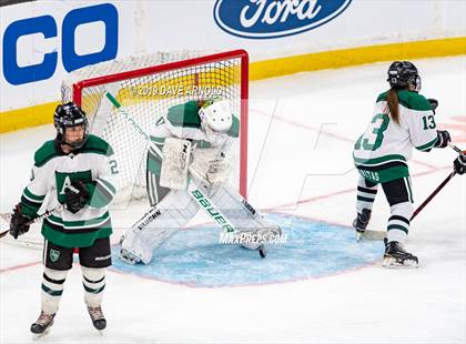 Thumbnail 3 in Methuen-Tewksbury vs Austin Prep (MIAA Division 1 State Final) photogallery.