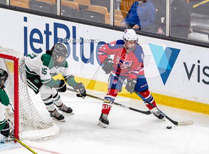 Thumbnail 1 in Methuen-Tewksbury vs Austin Prep (MIAA Division 1 State Final) photogallery.