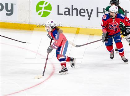 Thumbnail 1 in Methuen-Tewksbury vs Austin Prep (MIAA Division 1 State Final) photogallery.
