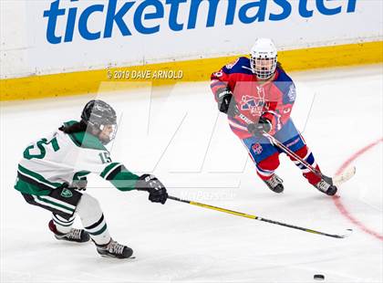 Thumbnail 1 in Methuen-Tewksbury vs Austin Prep (MIAA Division 1 State Final) photogallery.