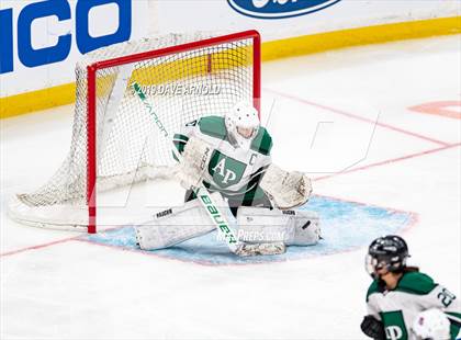 Thumbnail 1 in Methuen-Tewksbury vs Austin Prep (MIAA Division 1 State Final) photogallery.