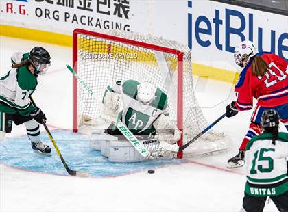 Thumbnail 3 in Methuen-Tewksbury vs Austin Prep (MIAA Division 1 State Final) photogallery.