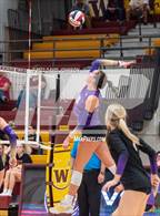 Photo from the gallery "Holy Family @ Windsor"