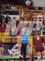 Photo from the gallery "Holy Family @ Windsor"