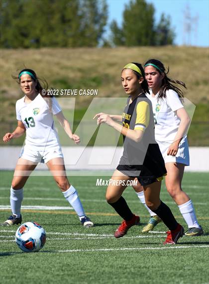 Thumbnail 3 in Ben Holt College Prep Academy vs. Mariposa County (CIF SJS D6 Finals) photogallery.