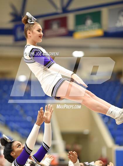 Thumbnail 1 in Warren vs Brandeis photogallery.