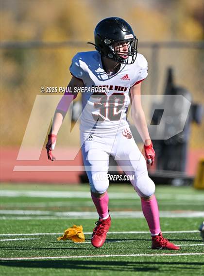 Thumbnail 1 in FR: Castle View @ ThunderRidge photogallery.