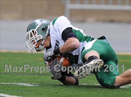 Thumbnail 2 in Trinity vs. Lewisburg (PIAA Class AA Quarterfinal) photogallery.
