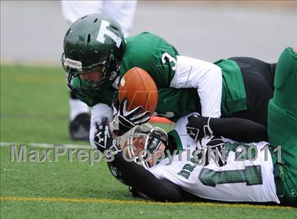 Thumbnail 2 in Trinity vs. Lewisburg (PIAA Class AA Quarterfinal) photogallery.
