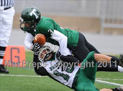 Thumbnail 1 in Trinity vs. Lewisburg (PIAA Class AA Quarterfinal) photogallery.