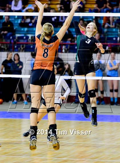 Thumbnail 3 in Mead vs. Niwot (CHSAA 4A Playoff) photogallery.
