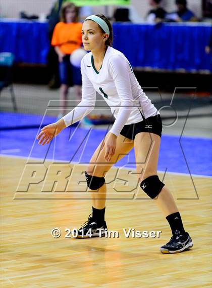 Thumbnail 3 in Mead vs. Niwot (CHSAA 4A Playoff) photogallery.