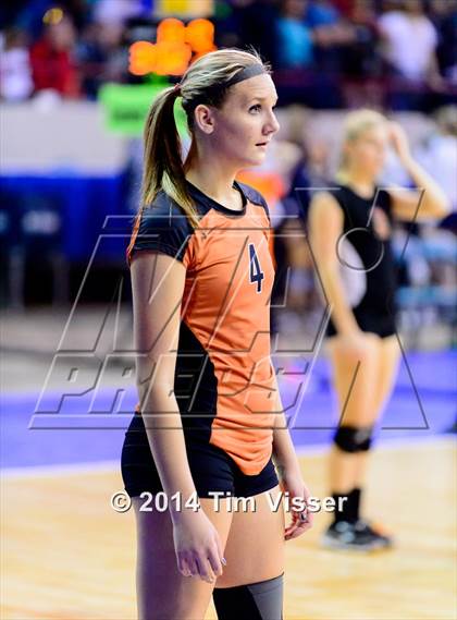 Thumbnail 3 in Mead vs. Niwot (CHSAA 4A Playoff) photogallery.