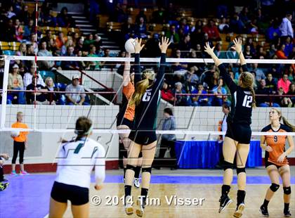 Thumbnail 3 in Mead vs. Niwot (CHSAA 4A Playoff) photogallery.