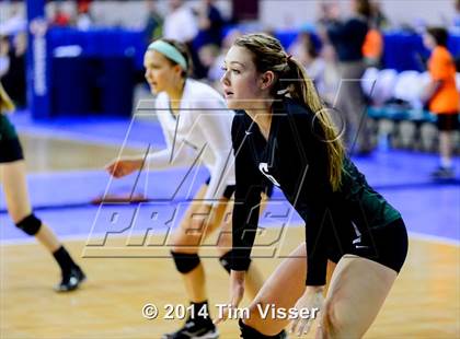 Thumbnail 2 in Mead vs. Niwot (CHSAA 4A Playoff) photogallery.
