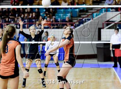 Thumbnail 1 in Mead vs. Niwot (CHSAA 4A Playoff) photogallery.