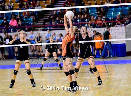 Thumbnail 3 in Mead vs. Niwot (CHSAA 4A Playoff) photogallery.