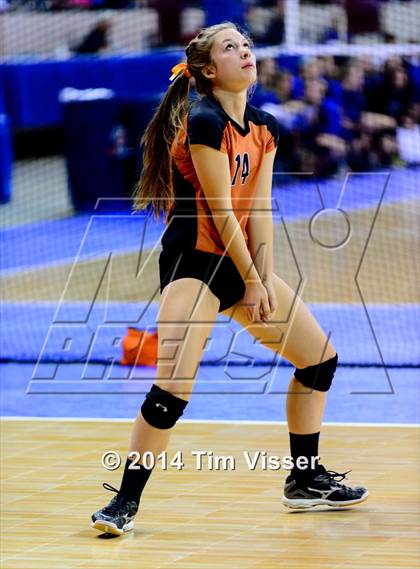Thumbnail 1 in Mead vs. Niwot (CHSAA 4A Playoff) photogallery.
