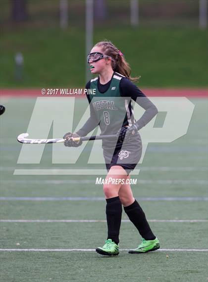 Thumbnail 1 in Red Hook vs. Vestal (NYSPHSAA Class B Regional Final) photogallery.