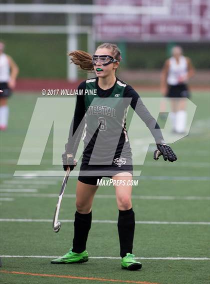 Thumbnail 3 in Red Hook vs. Vestal (NYSPHSAA Class B Regional Final) photogallery.