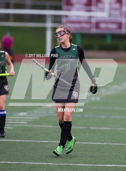 Thumbnail 2 in Red Hook vs. Vestal (NYSPHSAA Class B Regional Final) photogallery.