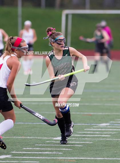 Thumbnail 3 in Red Hook vs. Vestal (NYSPHSAA Class B Regional Final) photogallery.