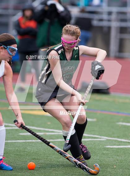 Thumbnail 1 in Red Hook vs. Vestal (NYSPHSAA Class B Regional Final) photogallery.