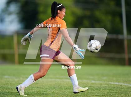 Thumbnail 3 in Tennessee @ Dobyns-Bennett photogallery.