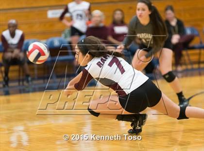 Thumbnail 3 in Taft vs Marshall photogallery.