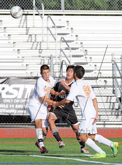 Thumbnail 1 in Ward Melville @ Sachem East photogallery.