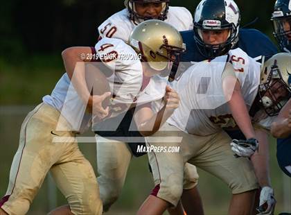 Thumbnail 3 in Countryside @ Palm Harbor University photogallery.