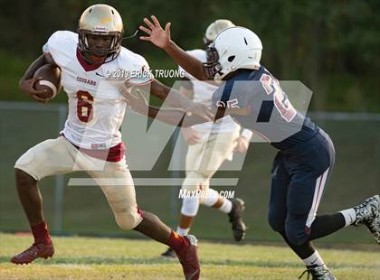 Thumbnail 1 in Countryside @ Palm Harbor University photogallery.