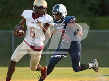 Thumbnail 3 in Countryside @ Palm Harbor University photogallery.