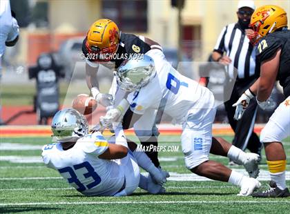 Thumbnail 3 in St. Bernard vs. Dominguez photogallery.