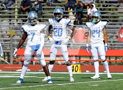 Thumbnail 1 in St. Bernard vs. Dominguez photogallery.