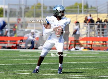 Thumbnail 1 in St. Bernard vs. Dominguez photogallery.