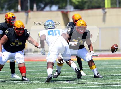 Thumbnail 1 in St. Bernard vs. Dominguez photogallery.
