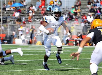 Thumbnail 3 in St. Bernard vs. Dominguez photogallery.
