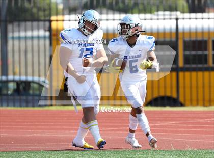 Thumbnail 1 in St. Bernard vs. Dominguez photogallery.