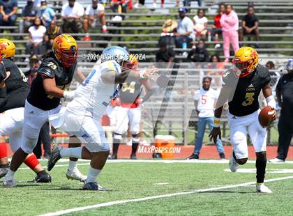 Thumbnail 2 in St. Bernard vs. Dominguez photogallery.