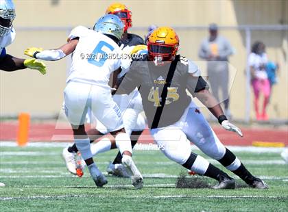 Thumbnail 1 in St. Bernard vs. Dominguez photogallery.